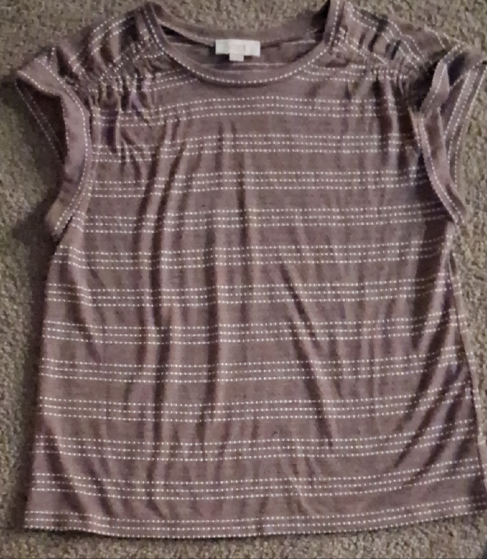 LOFT Brown Striped Short Sleeve Top